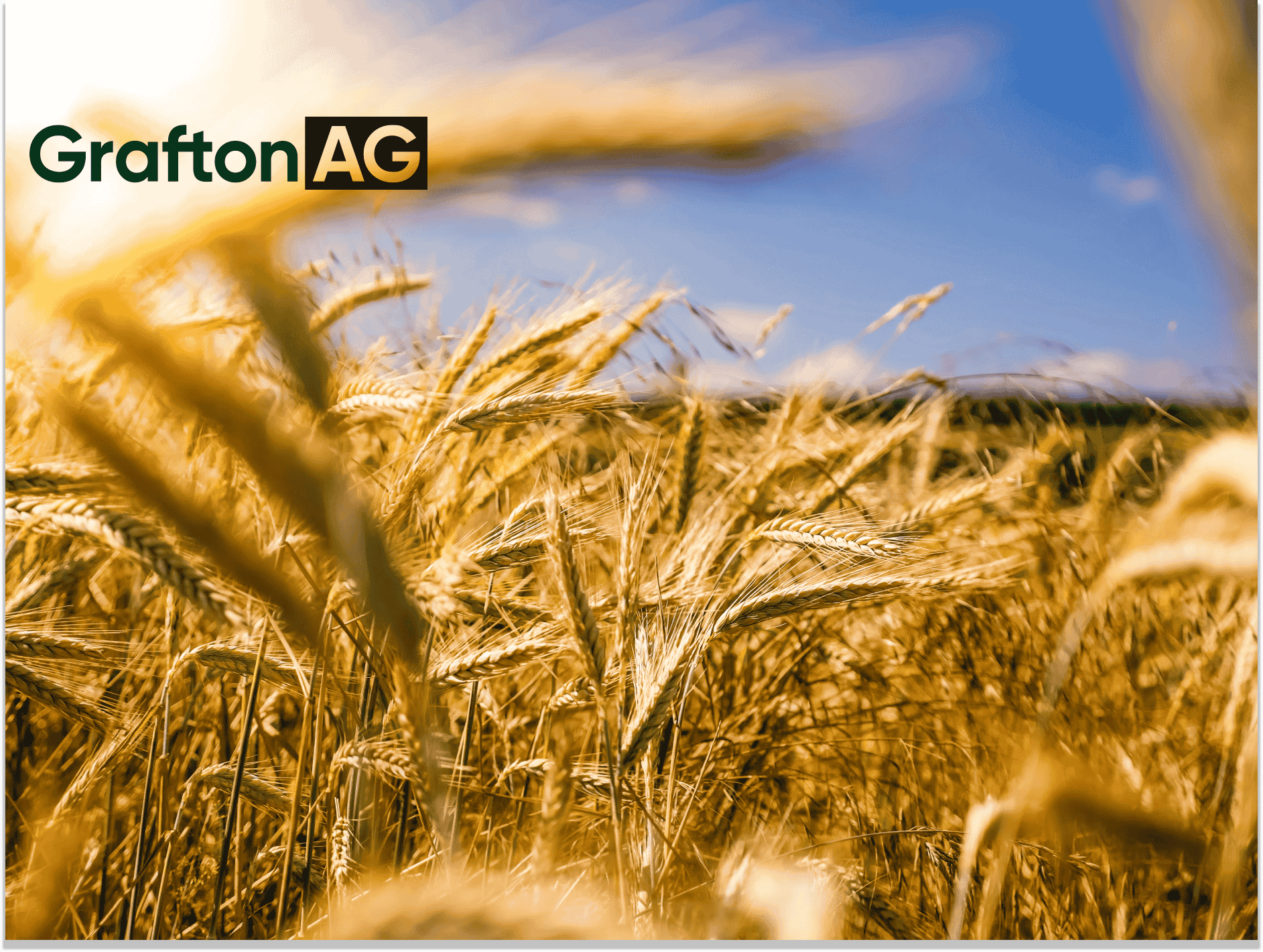 Grafton Ag agricultural brand visual